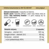astragalus-premium-90-kaps-yango
