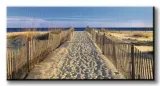 pathway-to-the-beach-obraz-na-plotnie-100x50-cm