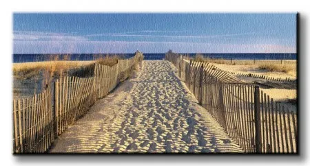 pathway-to-the-beach-obraz-na-plotnie-100x50-cm