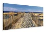 pathway-to-the-beach-obraz-na-plotnie-100x50-cm-stan-nowy