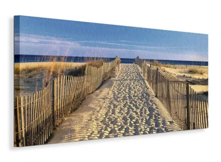 pathway-to-the-beach-obraz-na-plotnie-100x50-cm