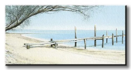 beach-tree-with-jetty-obraz-na-plotnie-100x50-cm