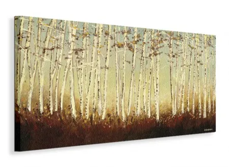 silver-birch-trees-obraz-na-plotnie-100x50-cm