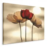 maki-obraz-na-plotnie-80x60-cm