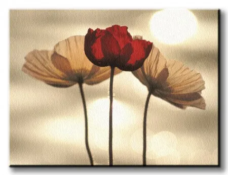 maki-obraz-na-plotnie-80x60-cm