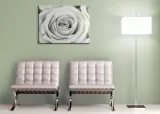 rose-obraz-na-plotnie-80x60-cm-stan-nowy