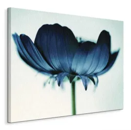 japanese-anemone-obraz-na-plotnie-80x60-cm