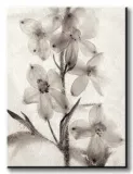 ice-form-51-obraz-na-plotnie-60x80-cm