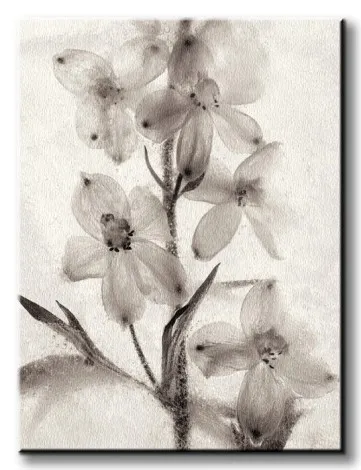 ice-form-51-obraz-na-plotnie-60x80-cm