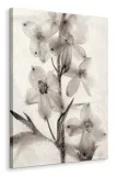ice-form-51-obraz-na-plotnie-60x80-cm-stan-nowy