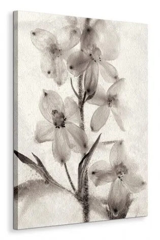 ice-form-51-obraz-na-plotnie-60x80-cm