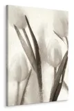 ice-form-7-obraz-na-plotnie-60x80-cm