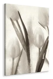 ice-form-7-obraz-na-plotnie-60x80-cm