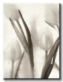 ice-form-7-obraz-na-plotnie-60x80-cm-stan-nowy