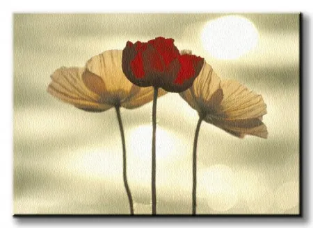 maki-obraz-na-plotnie-120x90-cm-stan-nowy