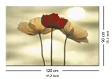 maki-obraz-na-plotnie-120x90-cm-stan-nowy