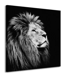 majesty-obraz-na-plotnie-85x85-cm