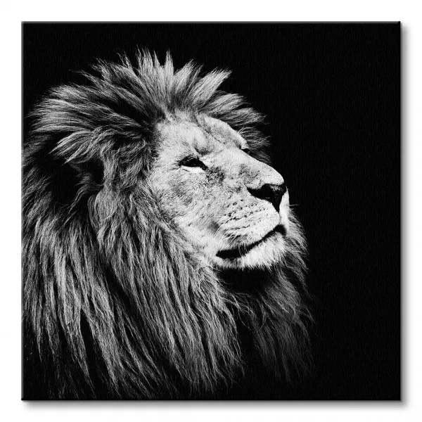 majesty-obraz-na-plotnie-85x85-cm