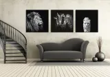 majesty-obraz-na-plotnie-85x85-cm-stan-nowy