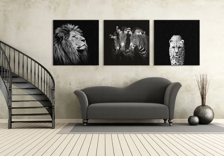 majesty-obraz-na-plotnie-85x85-cm-stan-nowy