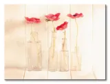 anemonies-in-a-bottle-obraz-na-plotnie-80x60-cm-stan-nowy