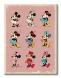 minnie-mouse-evolution-obraz-na-plotnie-60x80-cm-stan-nowy
