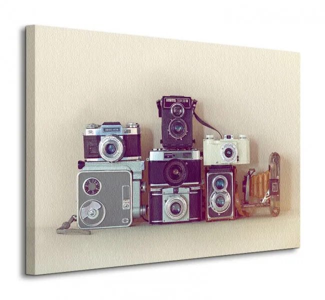 camera-collection-obraz-na-plotnie-80x60-cm