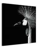 balearica-regulorum-obraz-na-plotnie-85x85-cm