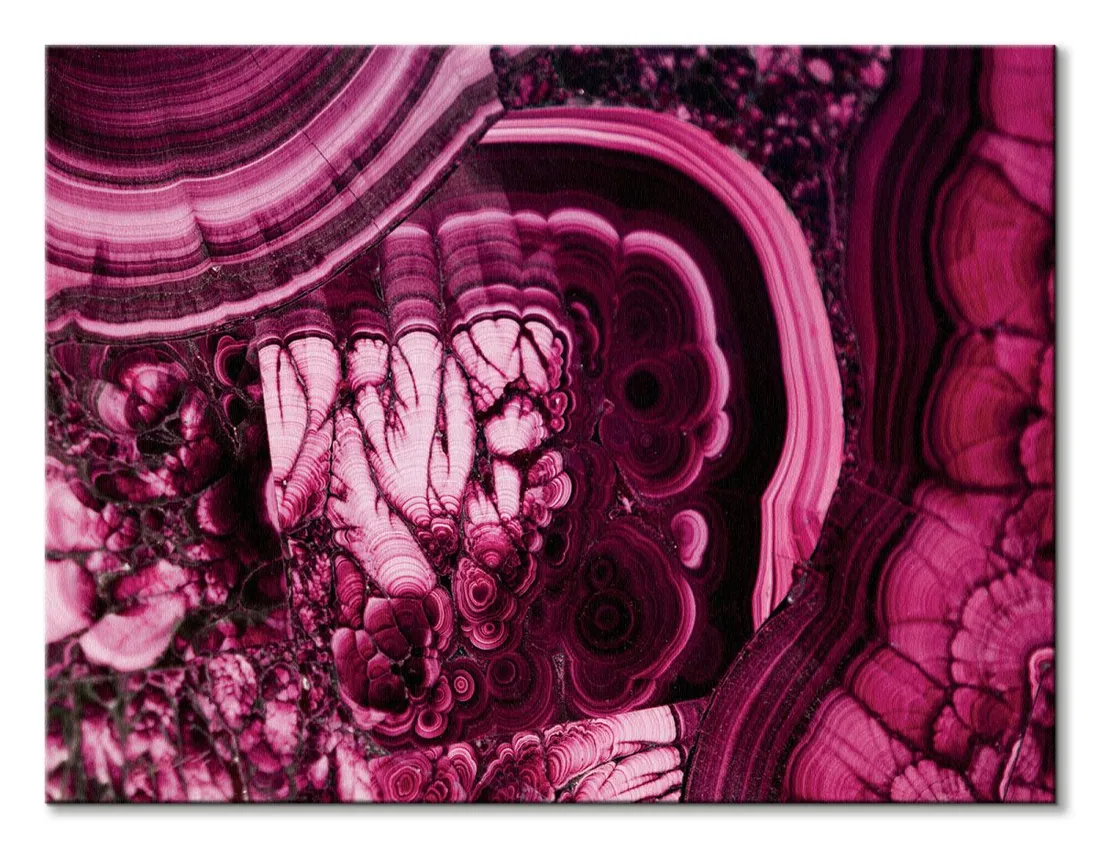 aquila-obraz-na-plotnie-80x60-cm