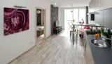 aquila-obraz-na-plotnie-80x60-cm-stan-nowy