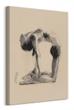 camel-pose-obraz-na-plotnie-60x80-cm