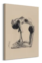 camel-pose-obraz-na-plotnie-60x80-cm