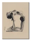 camel-pose-obraz-na-plotnie-60x80-cm-stan-nowy