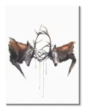 headstrong-obraz-na-plotnie-60x80-cm-stan-nowy