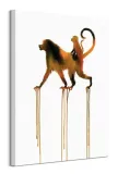 baboons-obraz-na-plotnie-60x80-cm