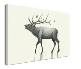 calling-elk-obraz-na-plotnie-80x60-cm