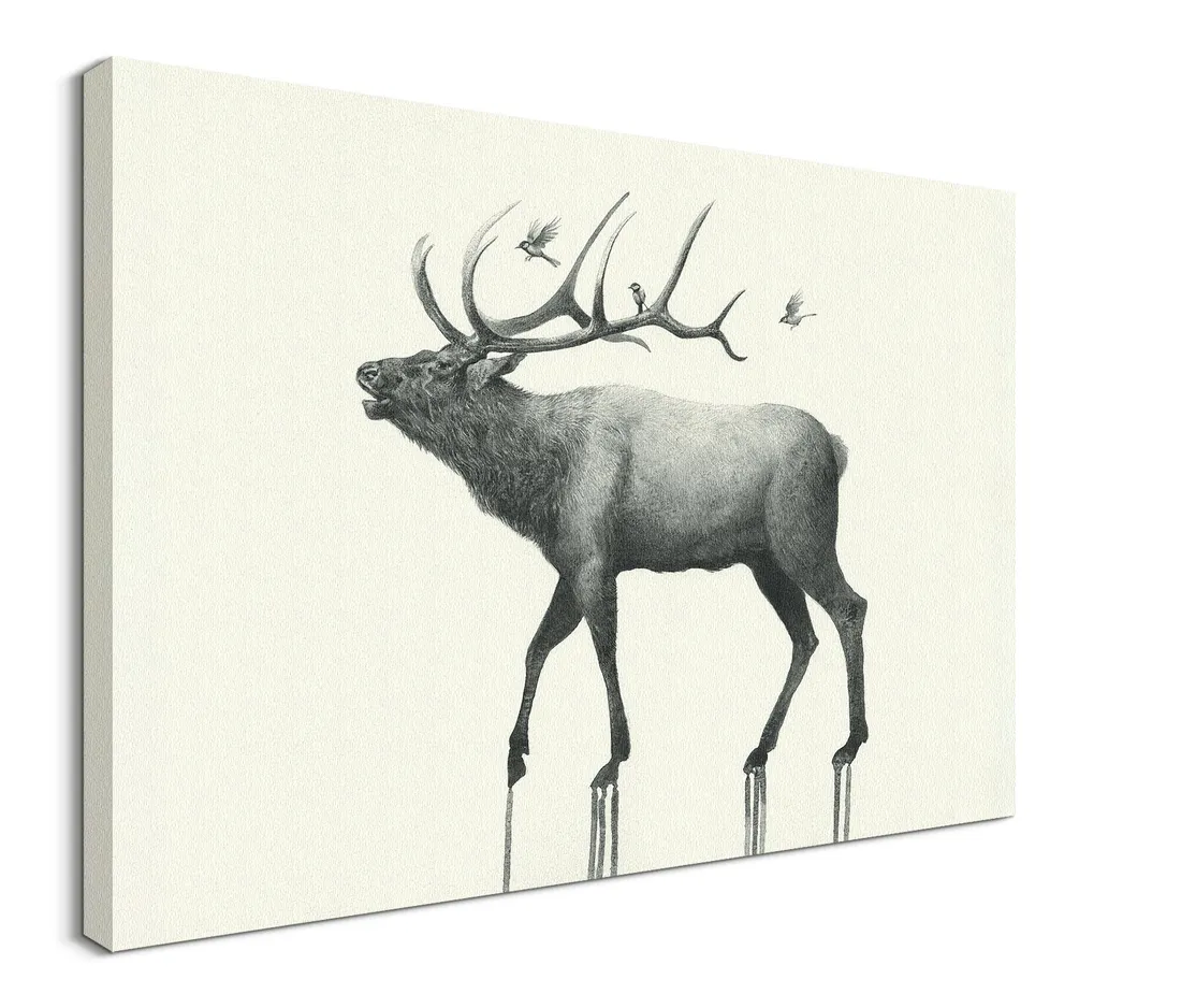 calling-elk-obraz-na-plotnie-80x60-cm-stan-nowy