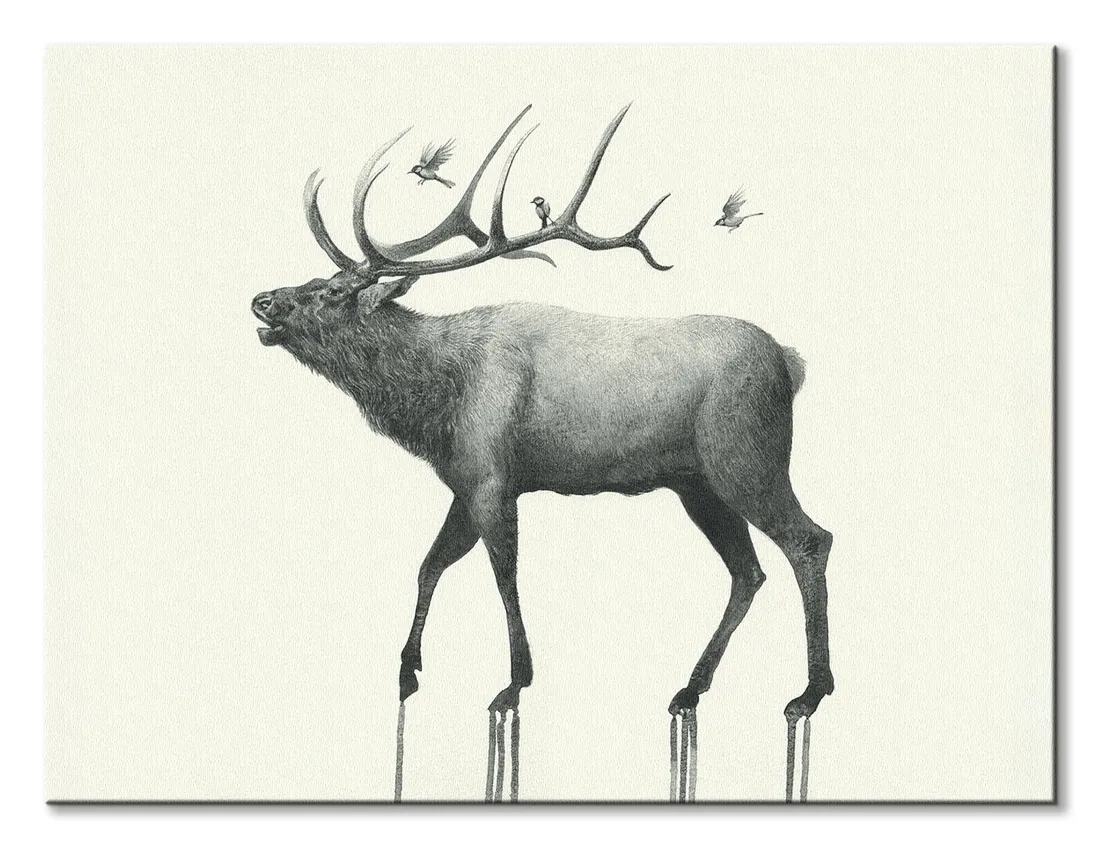 calling-elk-obraz-na-plotnie-80x60-cm