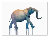 elephant-walk-obraz-na-plotnie-80x60-cm-stan-nowy