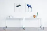 moose-obraz-na-plotnie-60x80-cm-stan-nowy