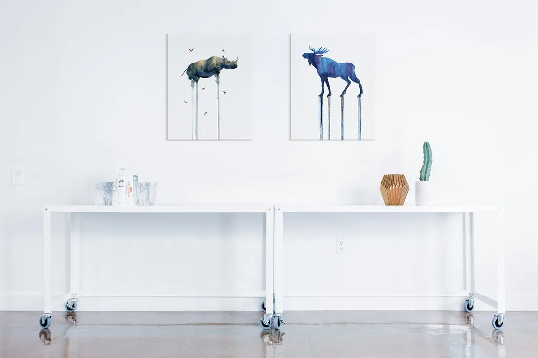 moose-obraz-na-plotnie-60x80-cm-stan-nowy
