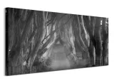 beech-tree-lane-obraz-na-plotnie-100x50-cm