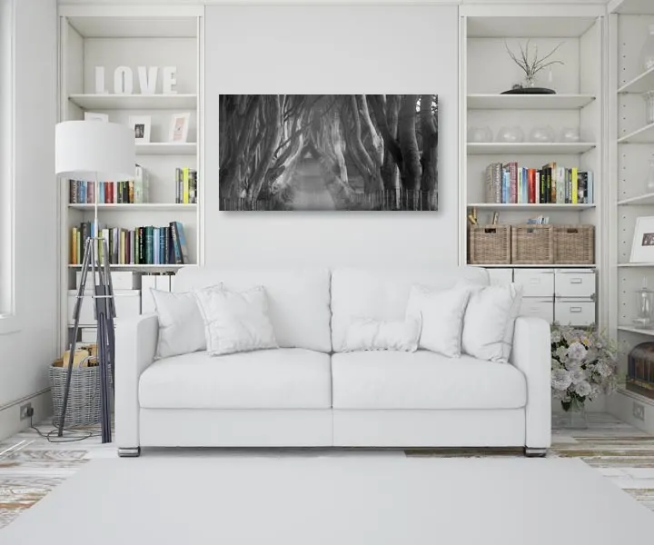 beech-tree-lane-obraz-na-plotnie-100x50-cm-stan-nowy