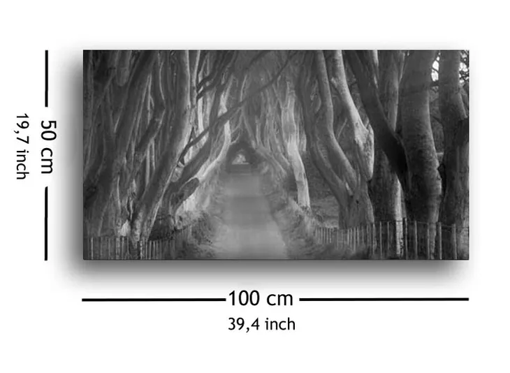 beech-tree-lane-obraz-na-plotnie-100x50-cm-stan-nowy