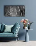 beech-tree-lane-obraz-na-plotnie-100x50-cm-stan-nowy