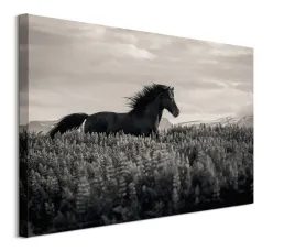 little-black-obraz-na-plotnie-80x60-cm