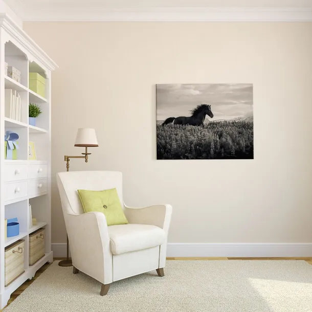 little-black-obraz-na-plotnie-80x60-cm-stan-nowy