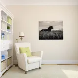 little-black-obraz-na-plotnie-80x60-cm-stan-nowy