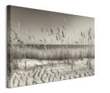 dune-grass-obraz-na-plotnie-80x60-cm