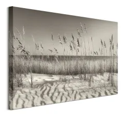 dune-grass-obraz-na-plotnie-80x60-cm